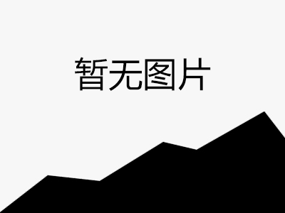 网站公约